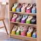 Adjustable Shoe Slots Organizer